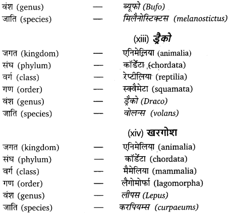 Solutions Class 11 जीव विज्ञान Chapter-4 (प्राणि जगत)