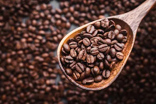 Cara Memilih Biji Kopi Robusta Yang Bagus