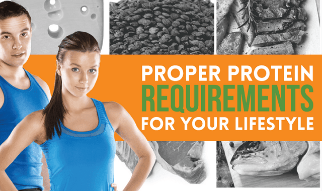 Image: Proper Protein Requirements for Your Lifestyle