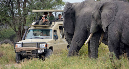 Tanzania Custom-Made Safari Tour