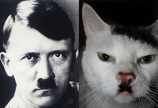 Alexander the Great, Napoleon, Mussolini and Hitler, all suffered from ailurophobia, the fear of cats.