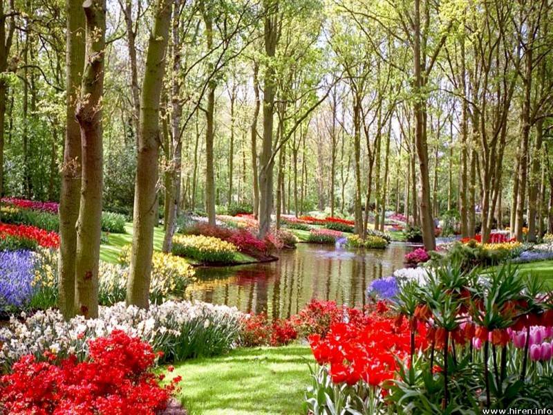 types of flowers a z Beautiful Flower Garden | 800 x 600