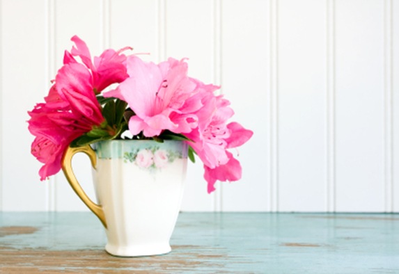 teacup with azalea