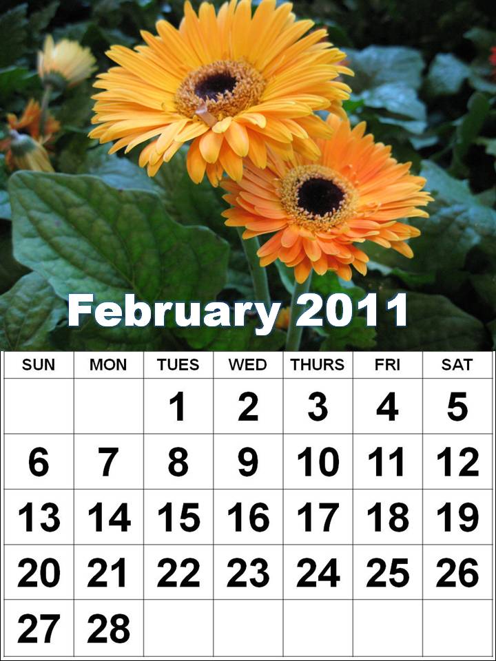 computer desktop calendar 2011. February 2011 Calendar