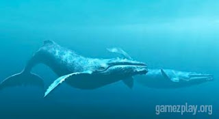 ship sim extreme whale swimming