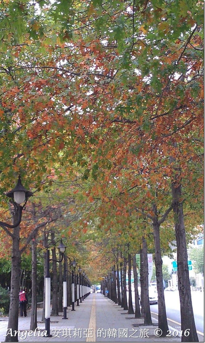 Gukchae-bosang Memorial Park-01