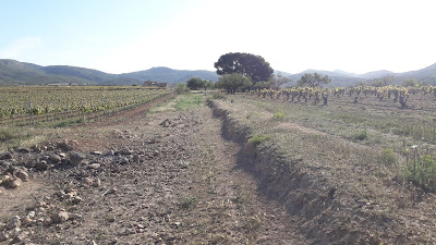 PR-C8 Santes Creus - Les Pobles - Castell de l'Albà- l'Albà - Santes Creus, camí vell de Santes Creus a Les Pobles.