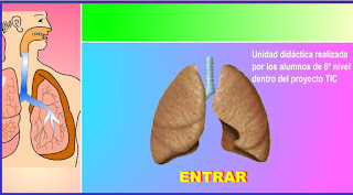 http://www.ceiploreto.es/sugerencias/averroes/manuelperez/udidacticas/udanatomia/respiratorio/index.htm