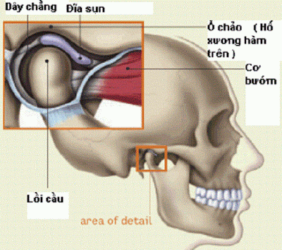 Hiện tượng lồi xương hàm dưới và cách xử lý khoa học-2