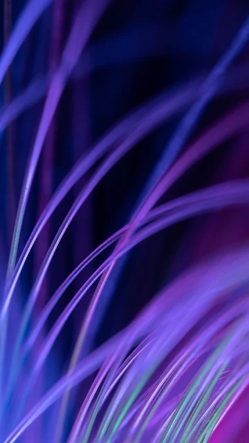 HD Wallpaper Purple Fiber Optic
