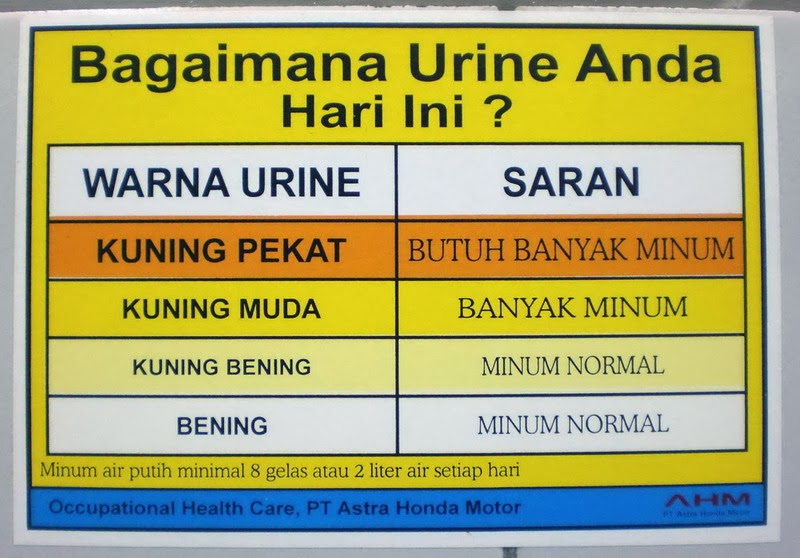 Catatanku Tanda Kesehatan Dari Warna Urine