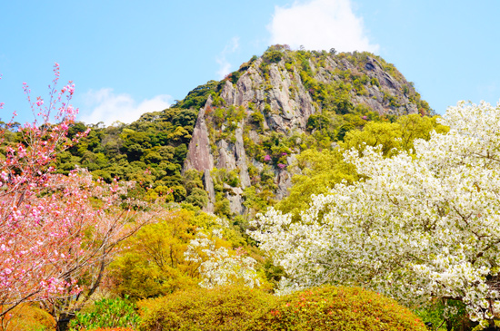 武雄市　御船山楽園