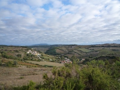 P1050921