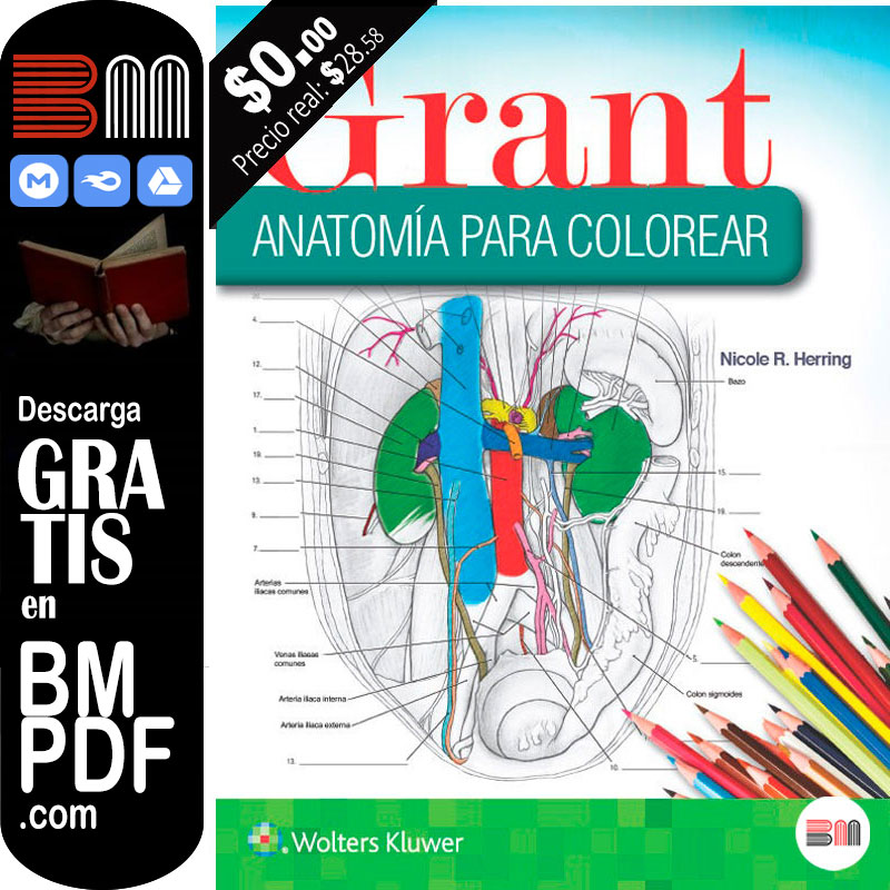 Grant anatomía para colorear PDF