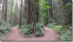 IMG_20160803_082607