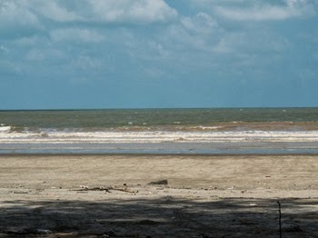 DSCF8004