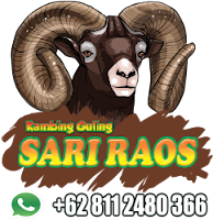 Jual Kambing Guling di Bandung,Jual Kambing Guling Bandung,kambing guling bandung,kambing guling di bandung,kambing guling,jual kambing guling,