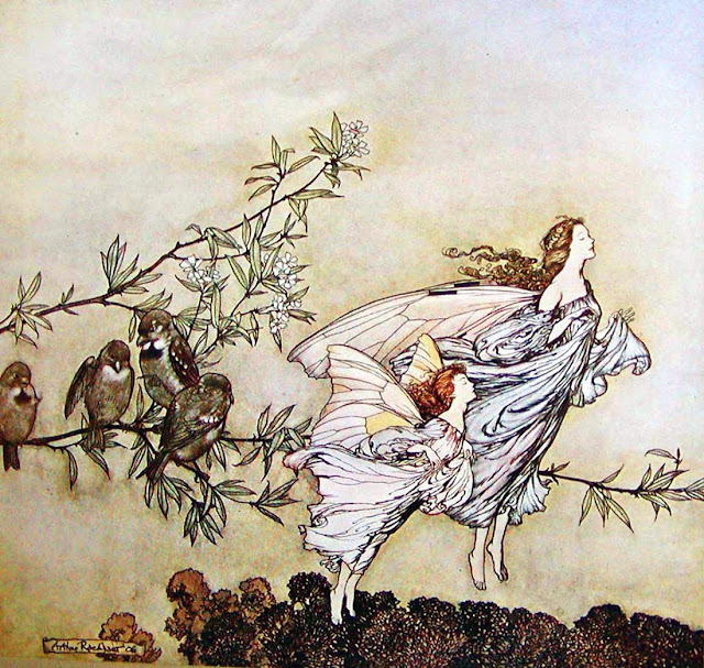 Fairies and Birds by fantasy illustrator Arthur Rackham