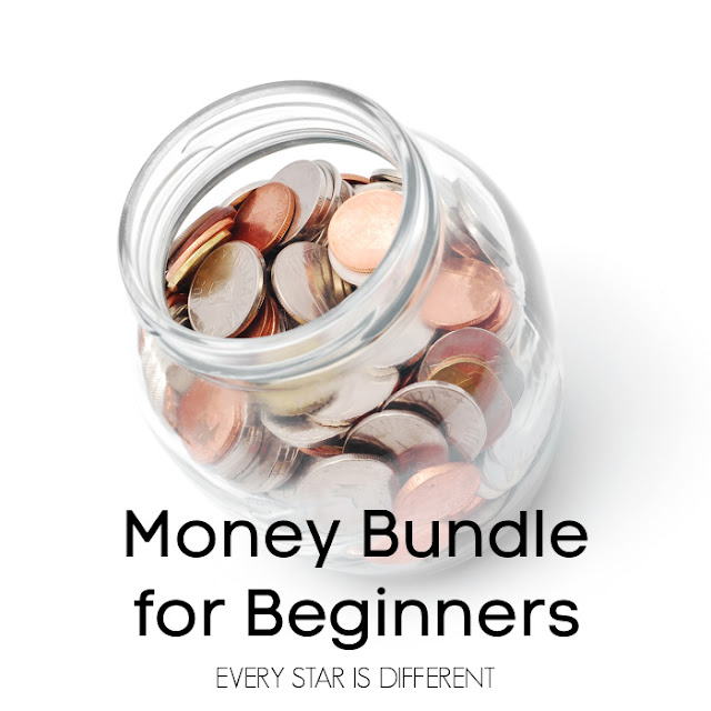 Money Bundle for Beginners