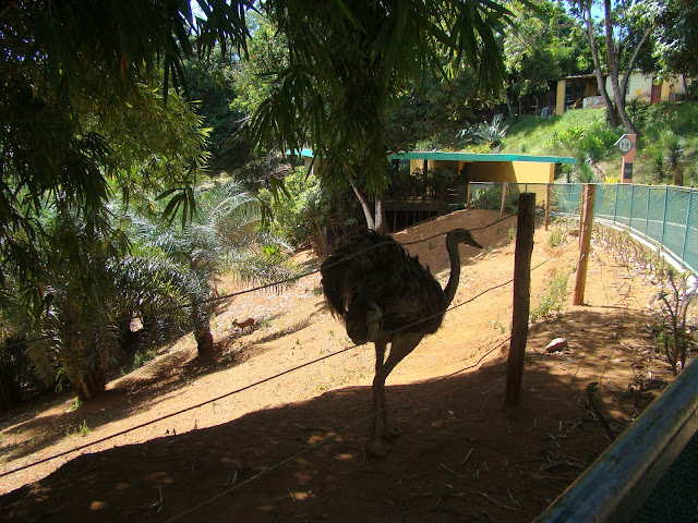 Zoo de Salvador