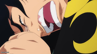 ワンピース アニメ 総集編 大特集 モモの助の名将軍への道 ONE PIECE Special Feature Momonosuke