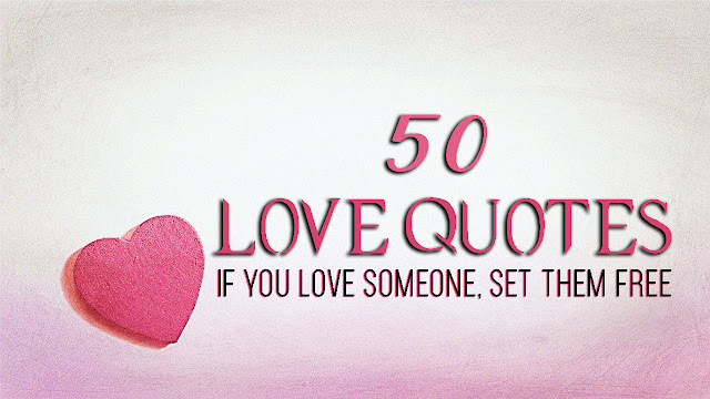 50 Love Quotes That Will Feel You Better and Special