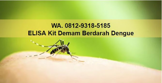 Demam Berdarah Dengue