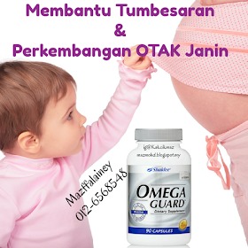 Ibu Hamil Digalakkan Melengkapkan Diet dengan Omega-3  untuk Perkembangan Anak Yang Lebih Sihat.