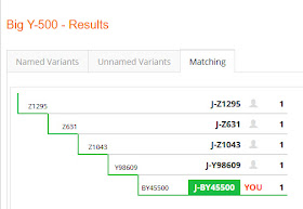 Big Y-500 Step Chart