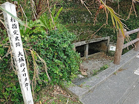 イリヌカー(西井泉)の写真