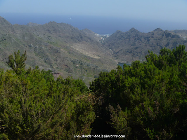 Sendero de los sentidos - Parque Rural de Anaga