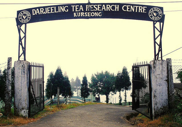 Darjeeling Tea Research Centre - Kurseong