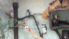 Kuala Lumpur Bird Park, Kuala Lumpur, Malaysia