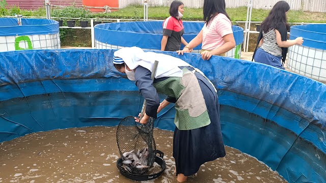 Slamet: Banyak Masyarakat Tertarik Budidaya Ikan Sistem Bioflok 