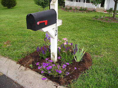 Perennial Mailbox Garden