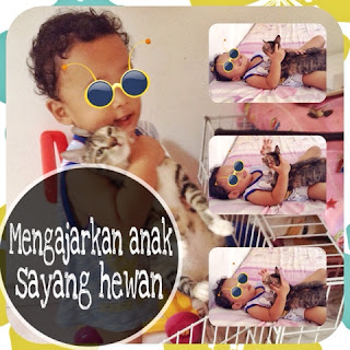 bayi mengenal hewan