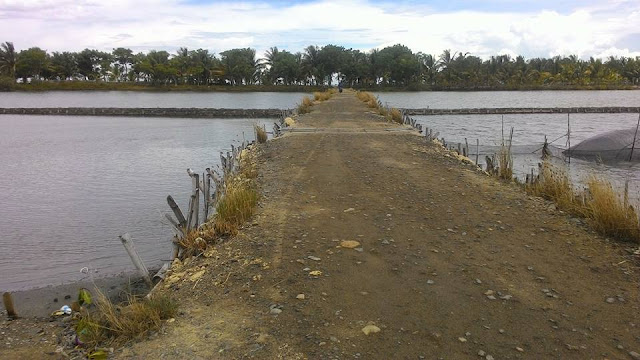 jalur jalan menuju pantai lapeo