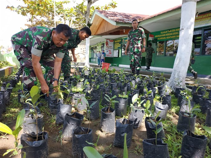 Tindaklanjuti Perintah Kepala BNPB Pusat, Kodim 0308 Pariaman Sudah Membibitkan 400 Batang Pohon Pinago 