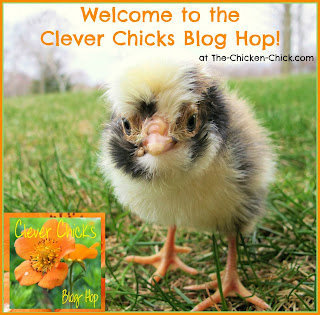 Welcome to The Chicken Chick's Clever Chicks Blog Hop!