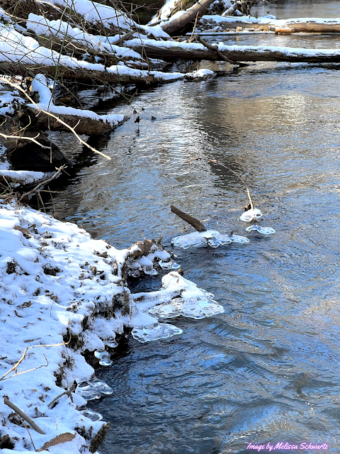 Ice collected along Brandywine Creek and partially submerged branches craft unique patterns.