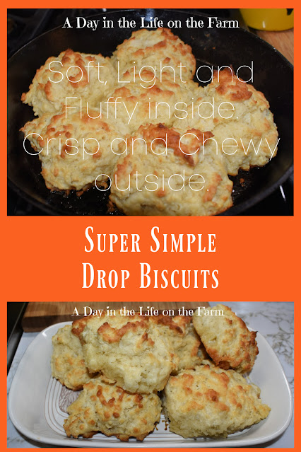 Drop Biscuit Pin