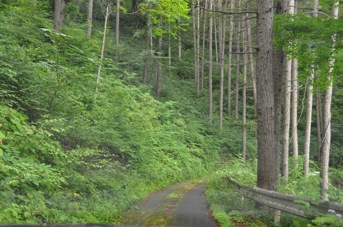 DSC 0593