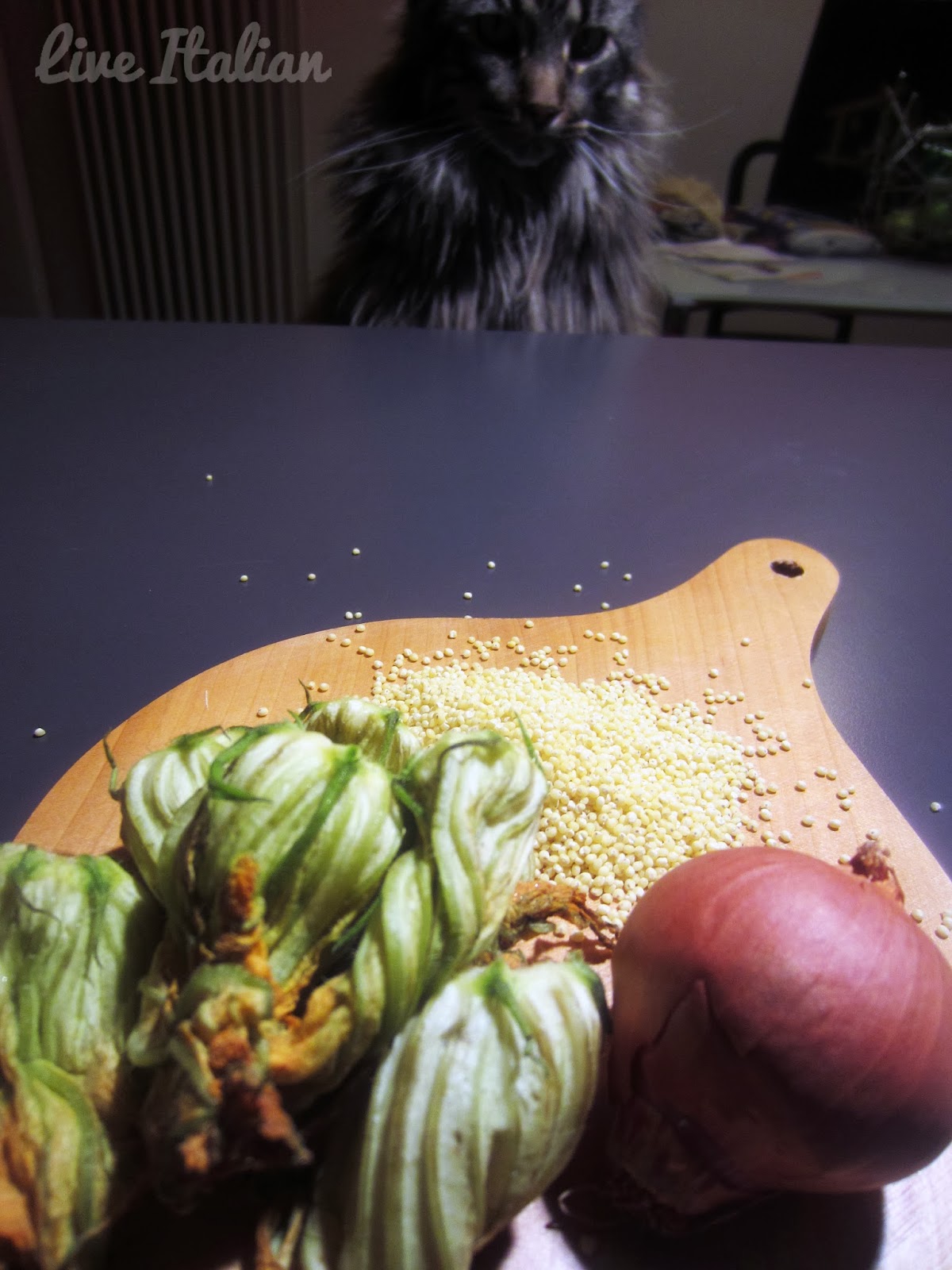 Gluten Free Recipe: MIllet and Zucchini Flowers Entrée