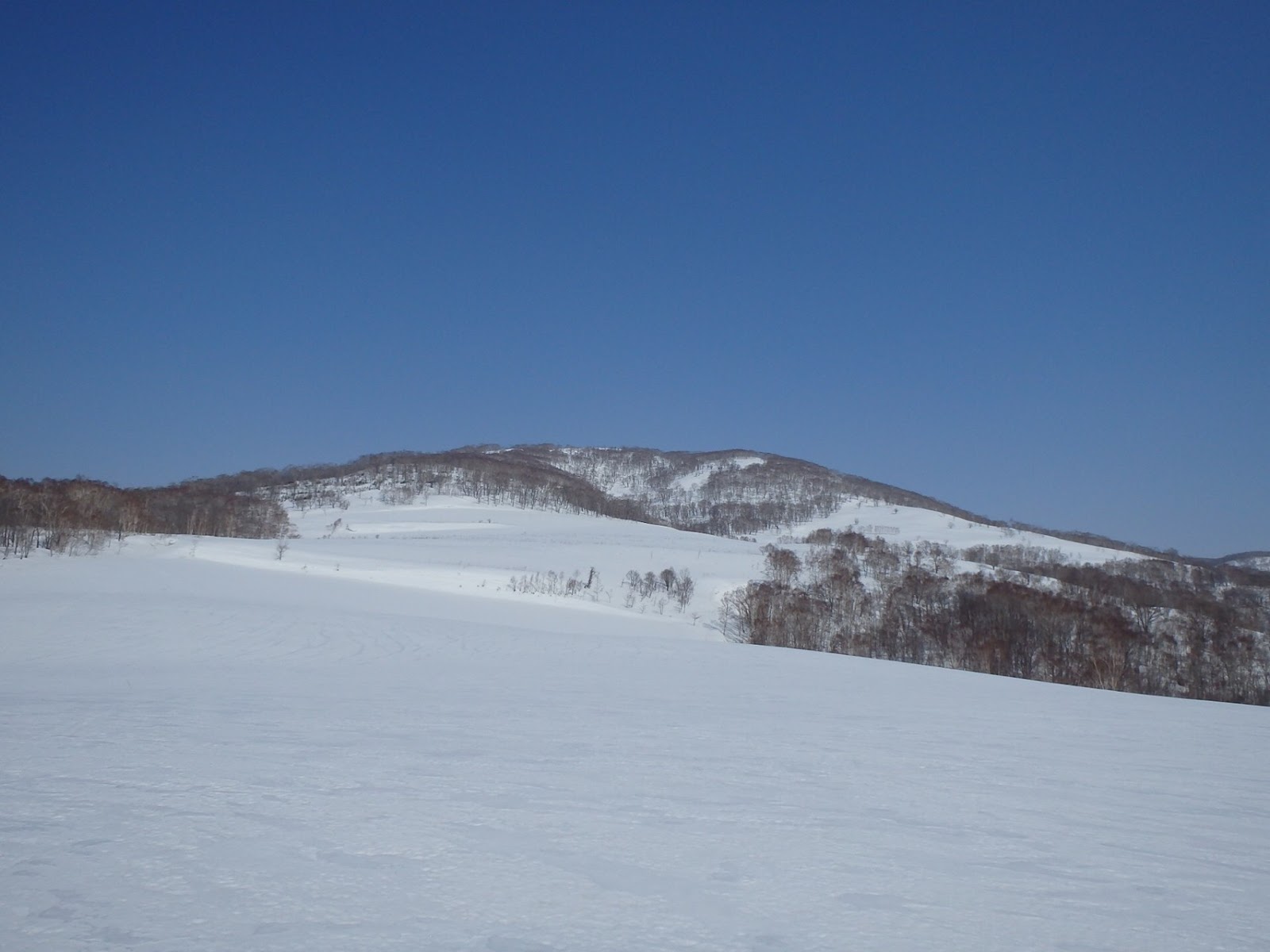 山のまこちゃん登山ブログ 冬山 西昆布岳 西昆布コース