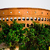 Eco Colosseum
