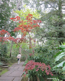 garden, April, Tokyo Japan