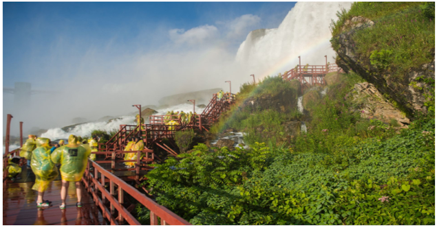 Niagara Falls: Nature's Majestic Wonder