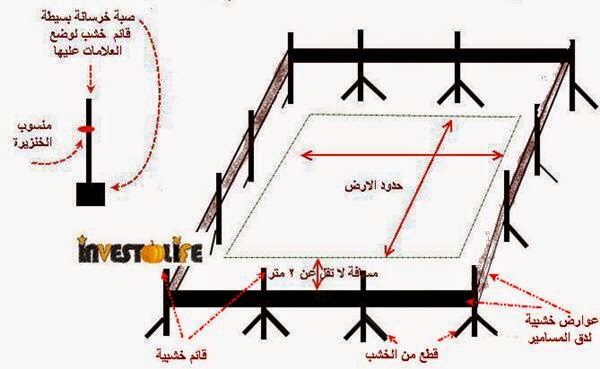 الخنزيرة الخشبية