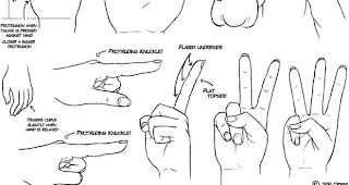 Pictures Of Beauty: Pictures of how to draw hands tutorials