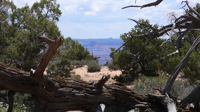 Canyonlands National Park